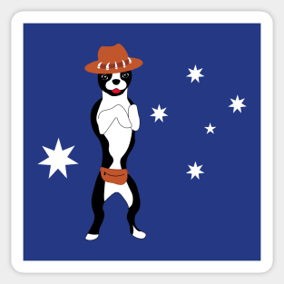 Australian boston terrier Dundee Sticker